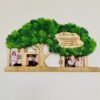 Tablou personalizat lemn si licheni "Pomișorul cu amintiri" - Thumbnail Image 3