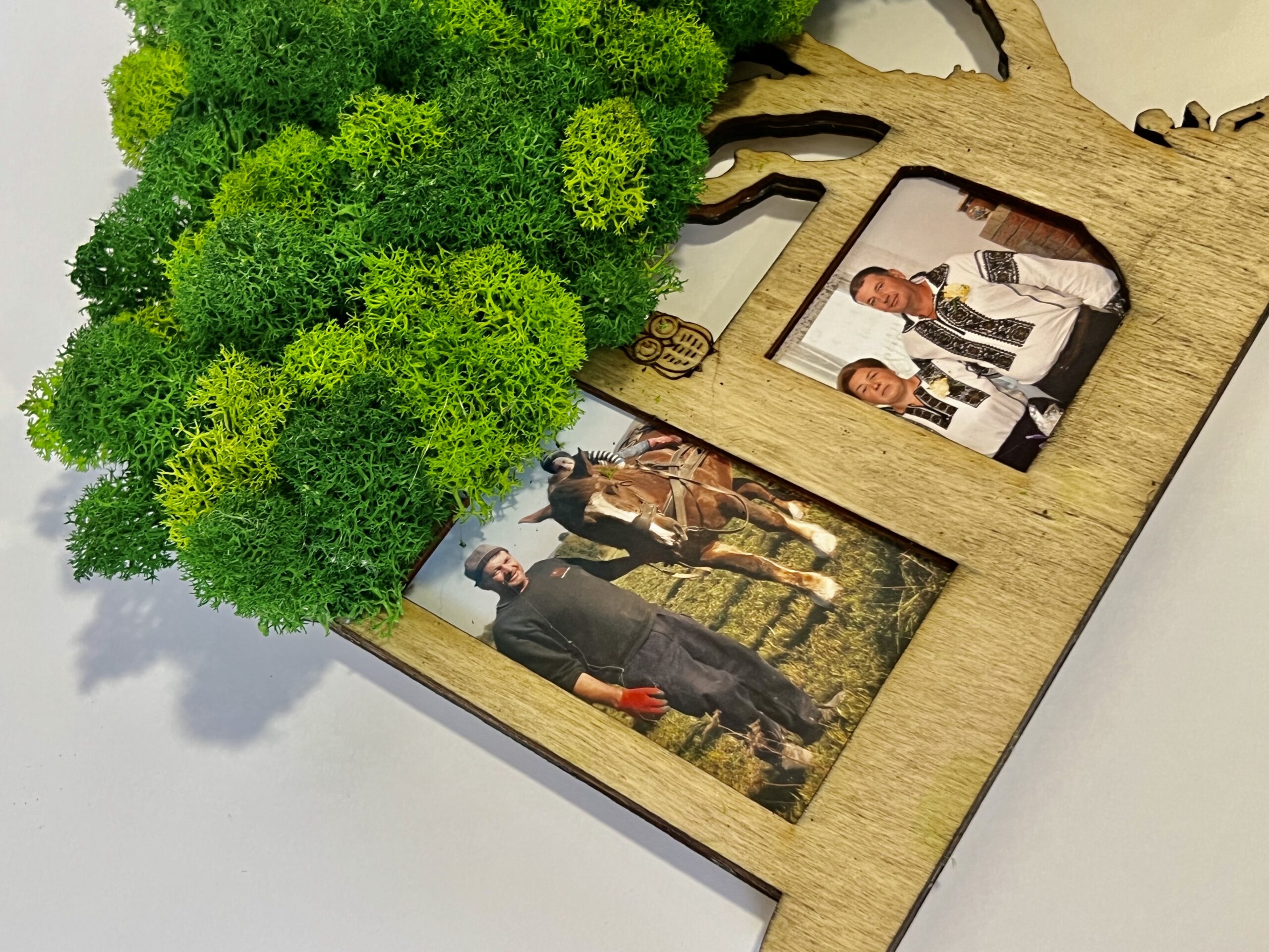 Tablou personalizat lemn si licheni "Pomișorul cu amintiri" 4 poze - imagine 3