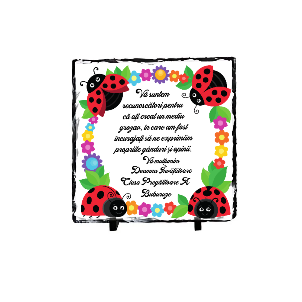 Placă de ardezie personalizată învățătoare