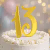 Topper 13